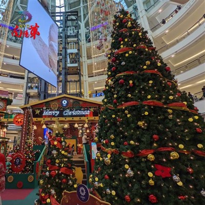 Hiiglaslikud torni jõulupuud